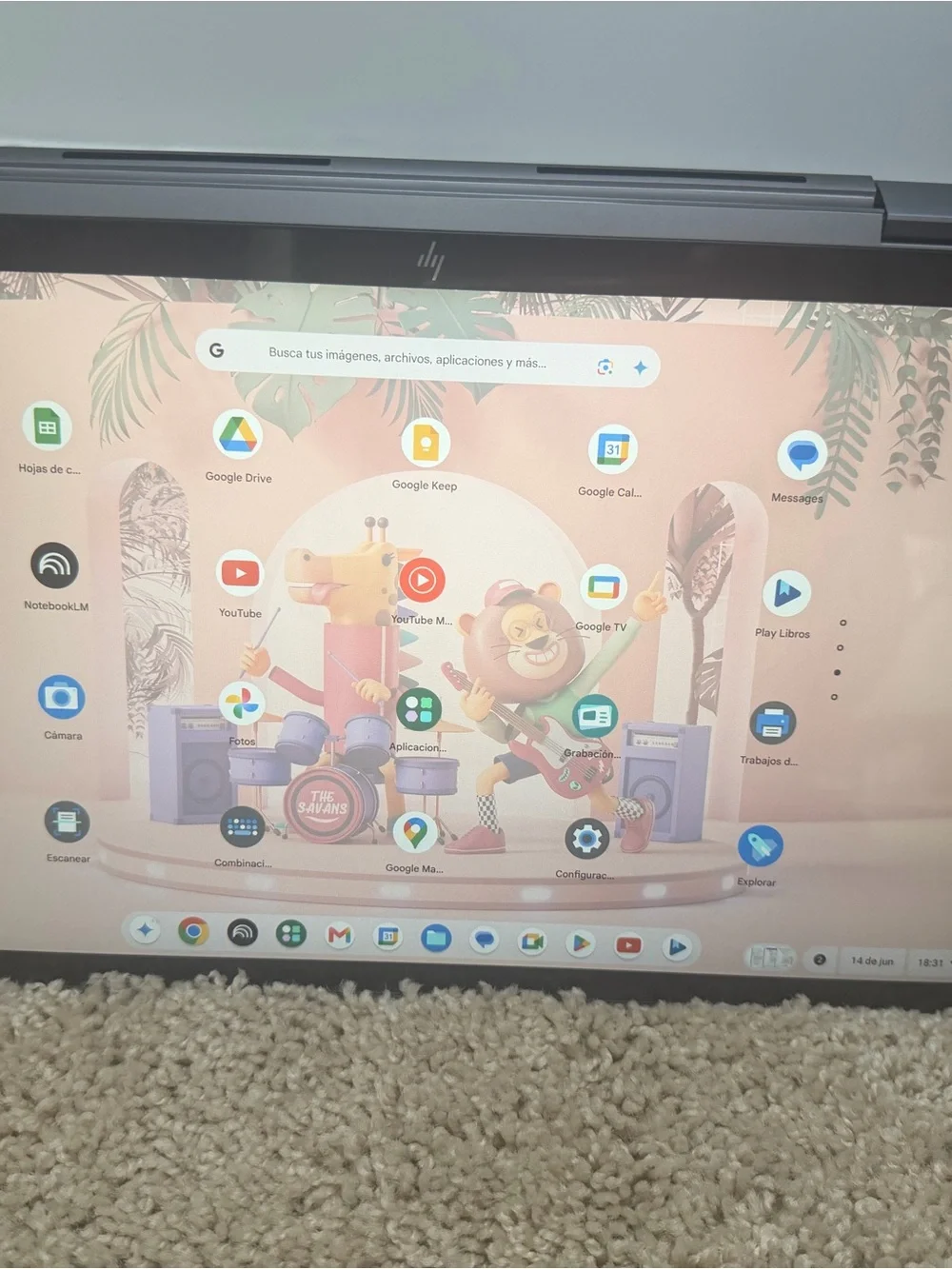 HP Chromebook Laptop - Gray with Gold Logo